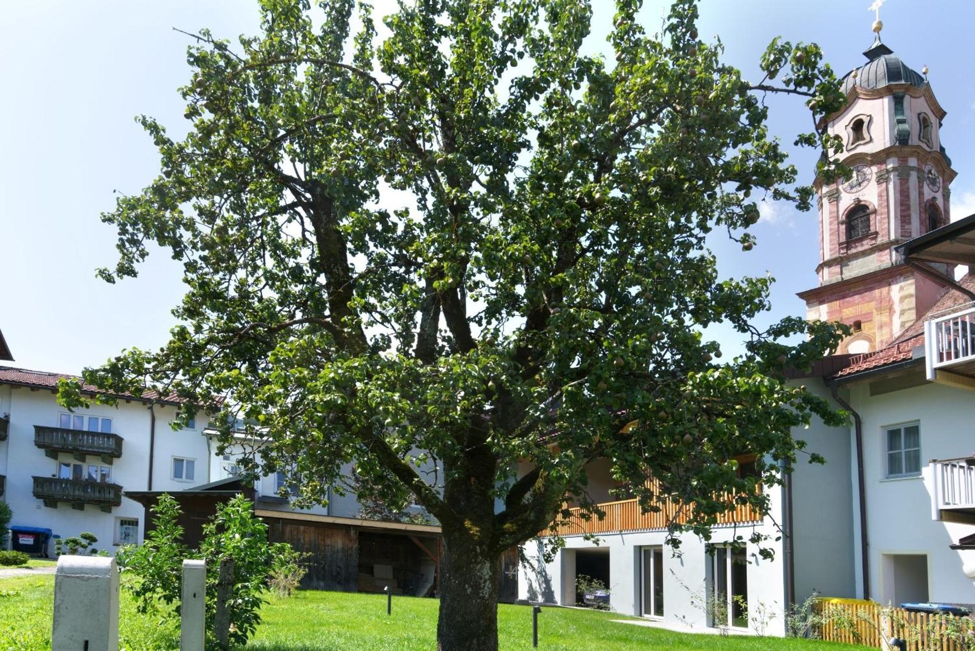 Adlerhaus, Gartenwohnung -410- Mittenwald Exterior photo